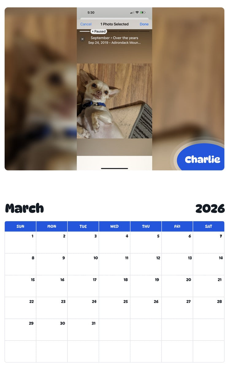 November 2025 - October 2026 Charlie - Pawidols Pet Calendar