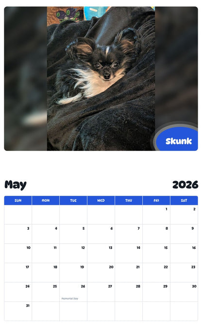 2026 - 2027 Skunk - Pawidols Pet Calendar