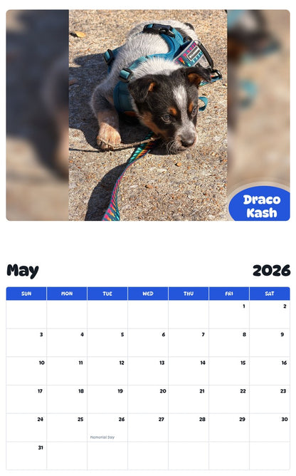2026 - 2027 Draco Kash - Pawidols Pet Calendar