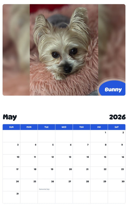 2026 - 2027 Bunny - Pawidols Pet Calendar