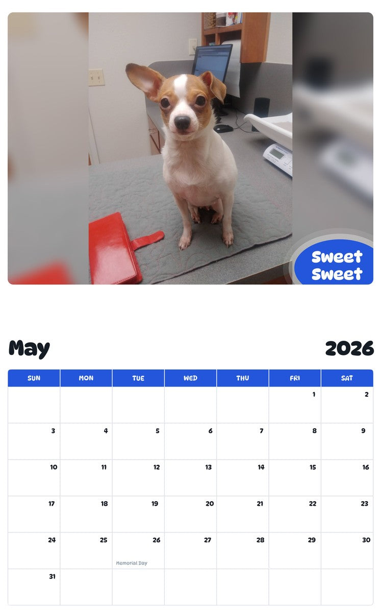 2026 - 2027 Sweet Sweet - Pawidols Pet Calendar