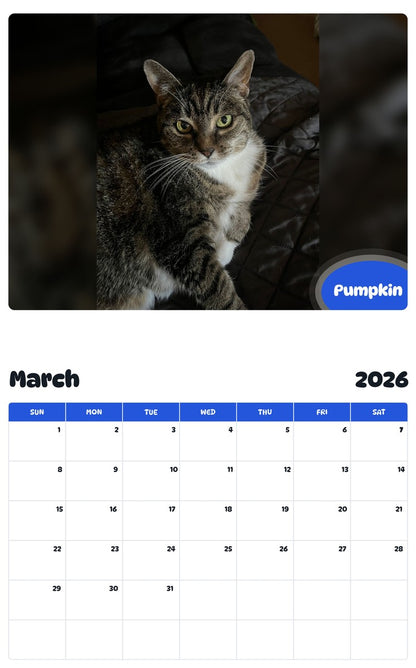 November 2025 - October 2026 Pumpkin - Pawidols Pet Calendar