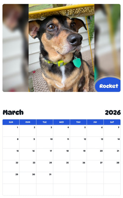 November 2025 - October 2026 Rocket - Pawidols Pet Calendar