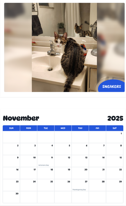 July 2025 - June 2026 Sneakers - Pawidols Pet Calendar