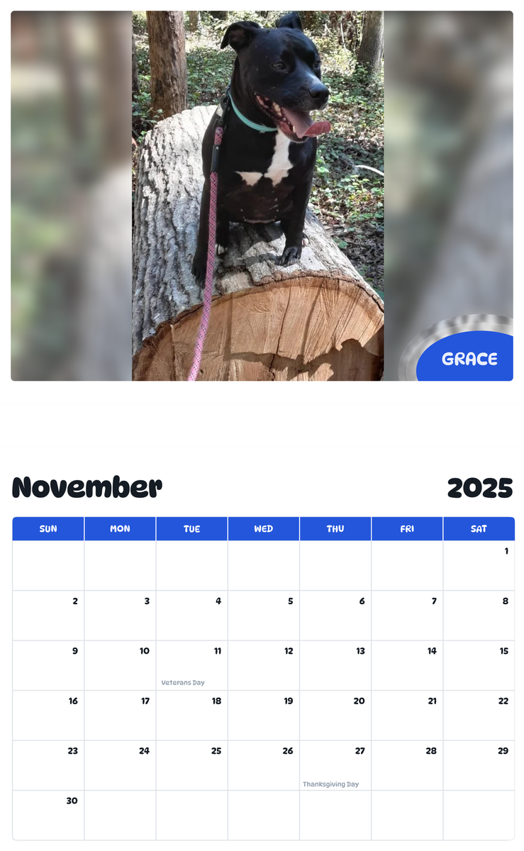 July 2025 - June 2026 Grace - Pawidols Pet Calendar