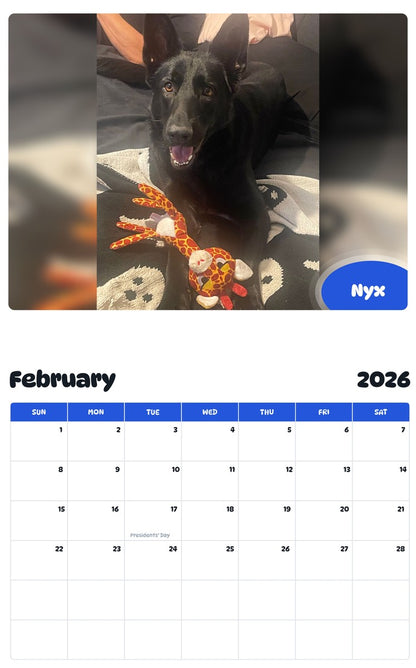 November 2025 - October 2026 Nyx - Pawidols Pet Calendar