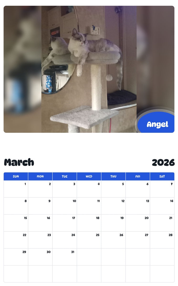 November 2025 - October 2026 Angel - Pawidols Pet Calendar