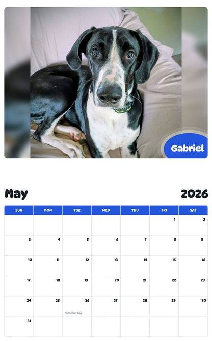 2026 - 2027 Gabriel - Pawidols Pet Calendar