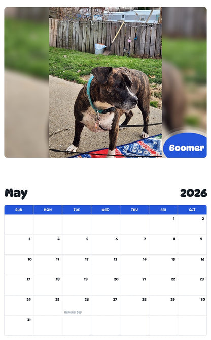 2026 - 2027 Boomer - Pawidols Pet Calendar