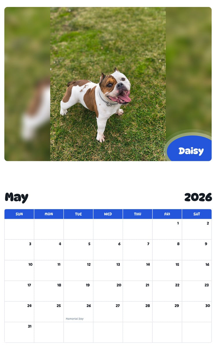 2026 - 2027 Daisy - Pawidols Pet Calendar