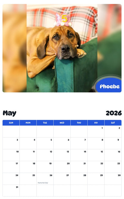 2026 - 2027 Phoebe - Pawidols Pet Calendar