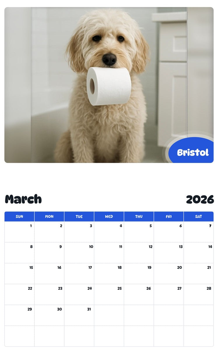November 2025 - October 2026 Bristol - Pawidols Pet Calendar