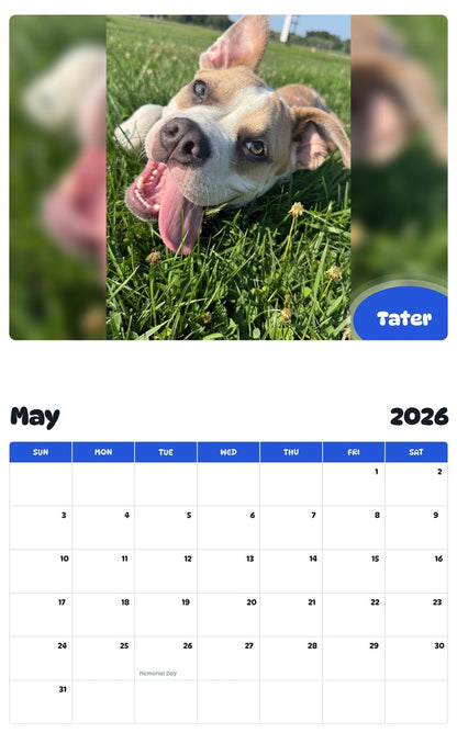 2026 - 2027 Tater - Pawidols Pet Calendar