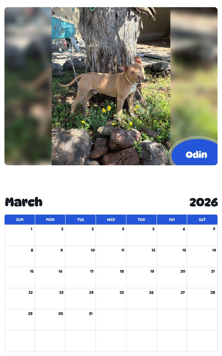 November 2025 - October 2026 Odin - Pawidols Pet Calendar