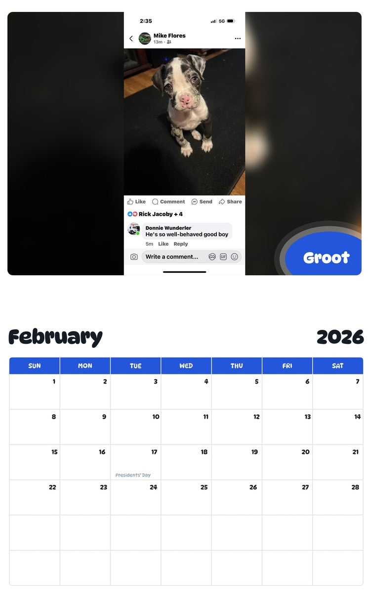 October 2025 - September 2026 Groot - Pawidols Pet Calendar