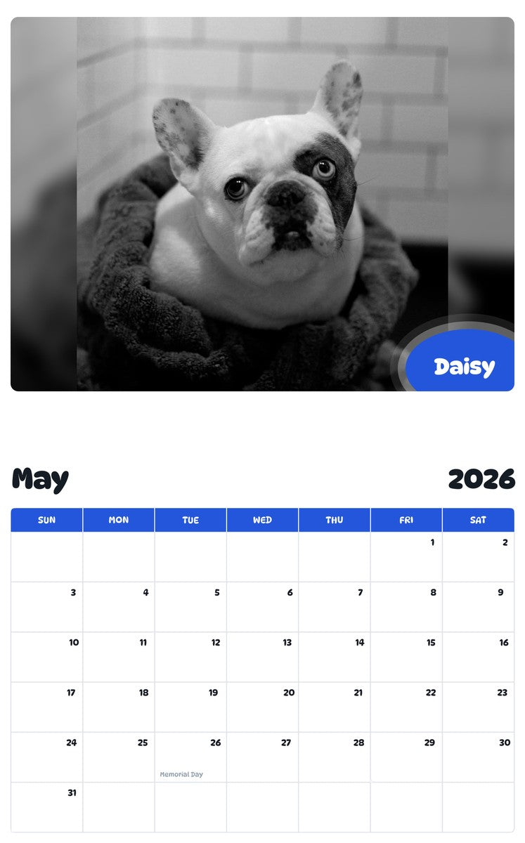 2026 - 2027 Daisy - Pawidols Pet Calendar