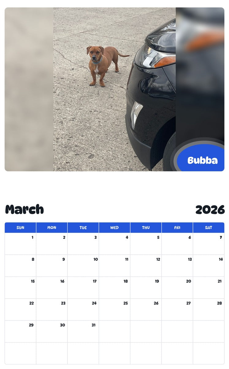 November 2025 - October 2026 Bubba - Pawidols Pet Calendar