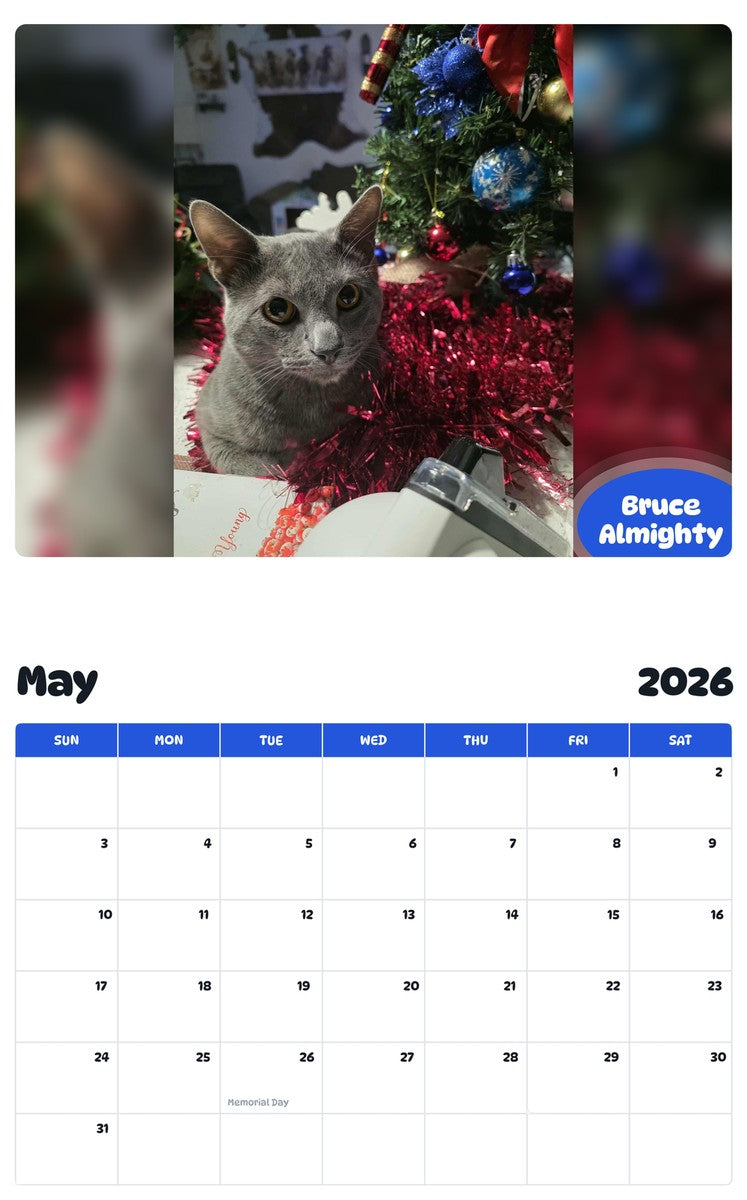 2026 - 2027 Bruce Almighty - Pawidols Pet Calendar