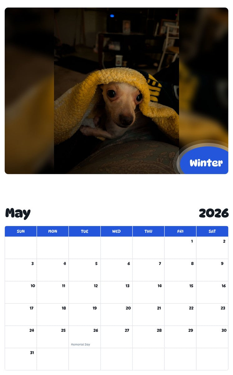 2026 - 2027 Winter - Pawidols Pet Calendar