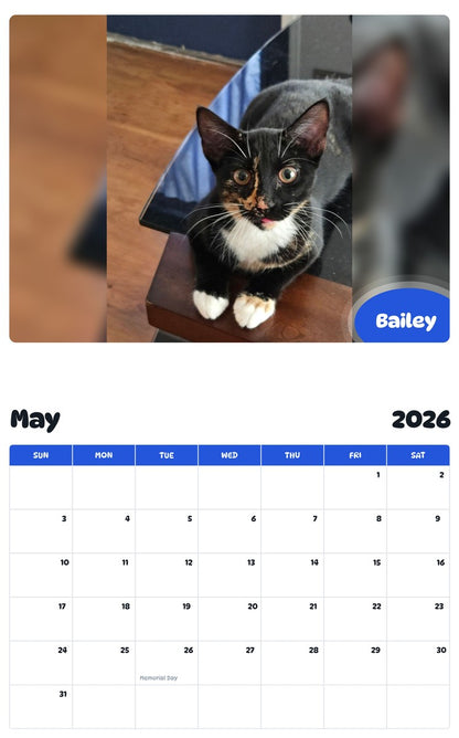 2026 - 2027 Bailey - Pawidols Pet Calendar
