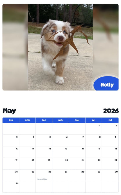 2026 - 2027 Holly - Pawidols Pet Calendar