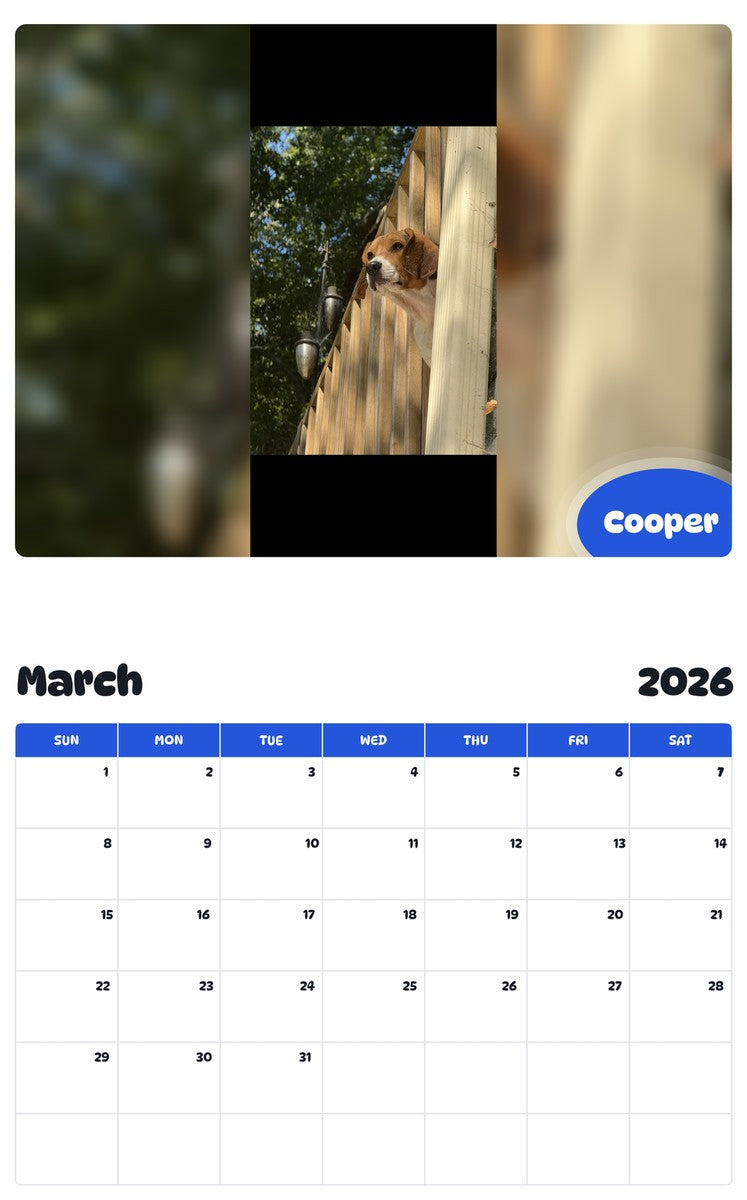 November 2025 - October 2026 Cooper - Pawidols Pet Calendar