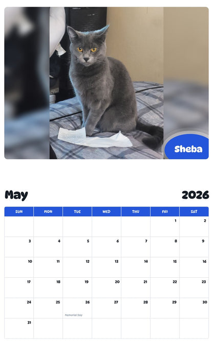2026 - 2027 Sheba - Pawidols Pet Calendar