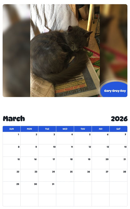 November 2025 - October 2026 Gary Grey Boy - Pawidols Pet Calendar