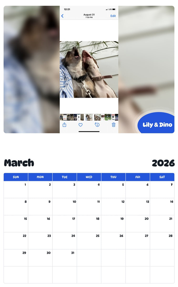 November 2025 - October 2026 Lily & Dino - Pawidols Pet Calendar