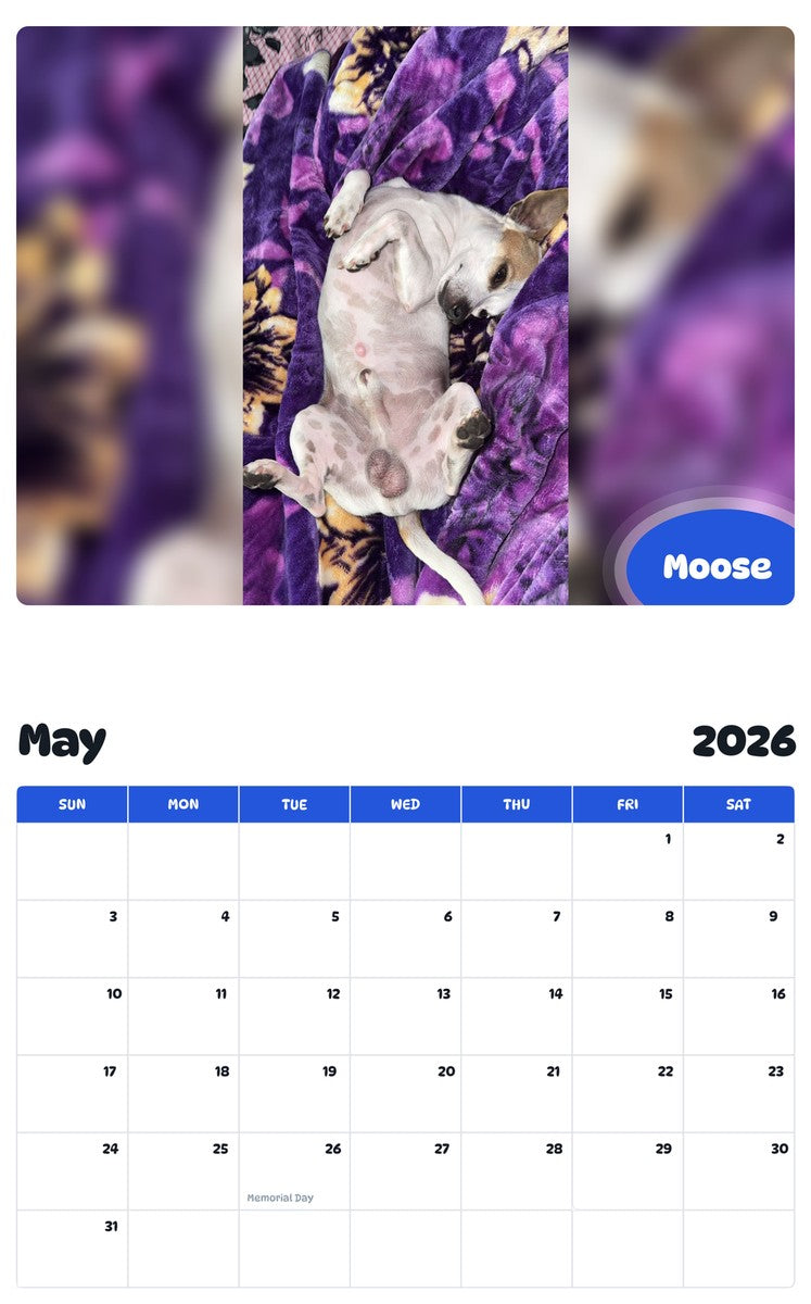 2026 - 2027 Moose - Pawidols Pet Calendar