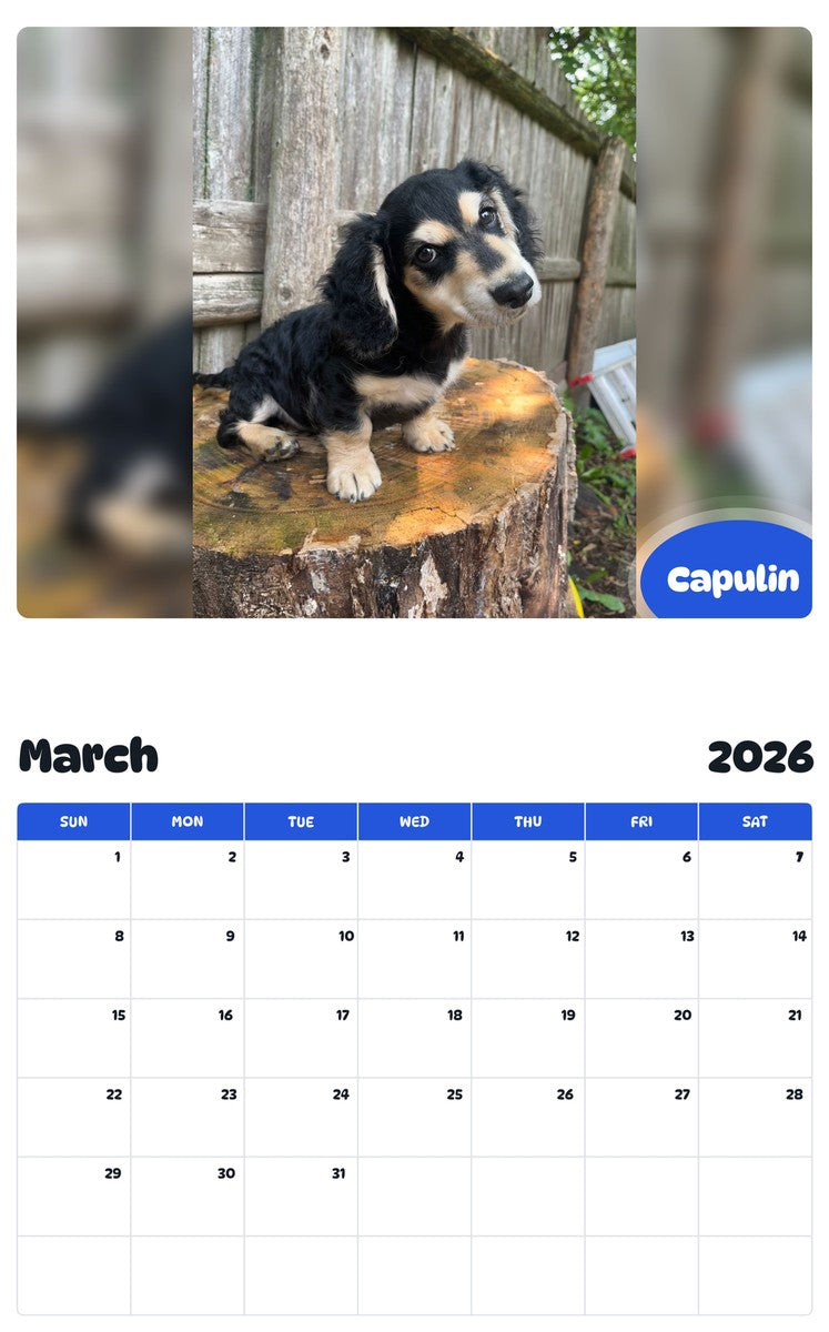 November 2025 - October 2026 Capulin - Pawidols Pet Calendar