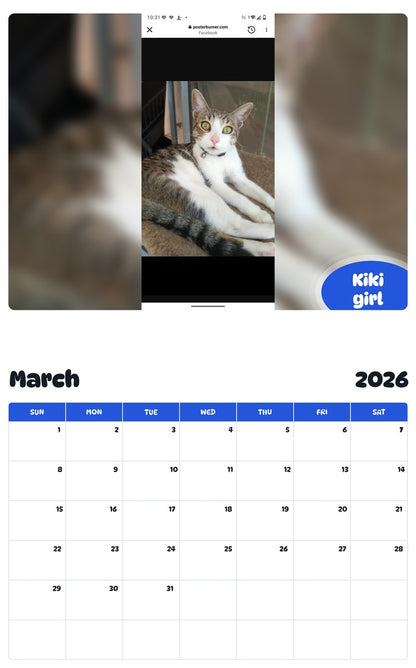 November 2025 - October 2026 Kiki girl - Pawidols Pet Calendar