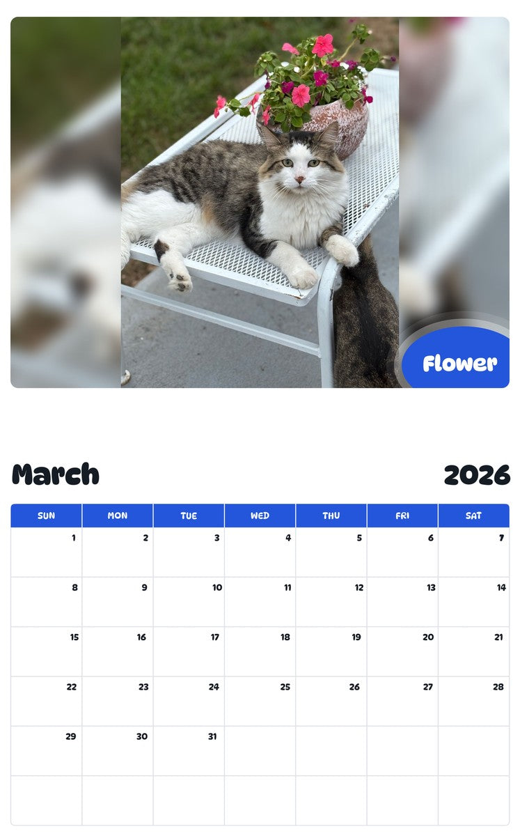 November 2025 - October 2026 Flower - Pawidols Pet Calendar