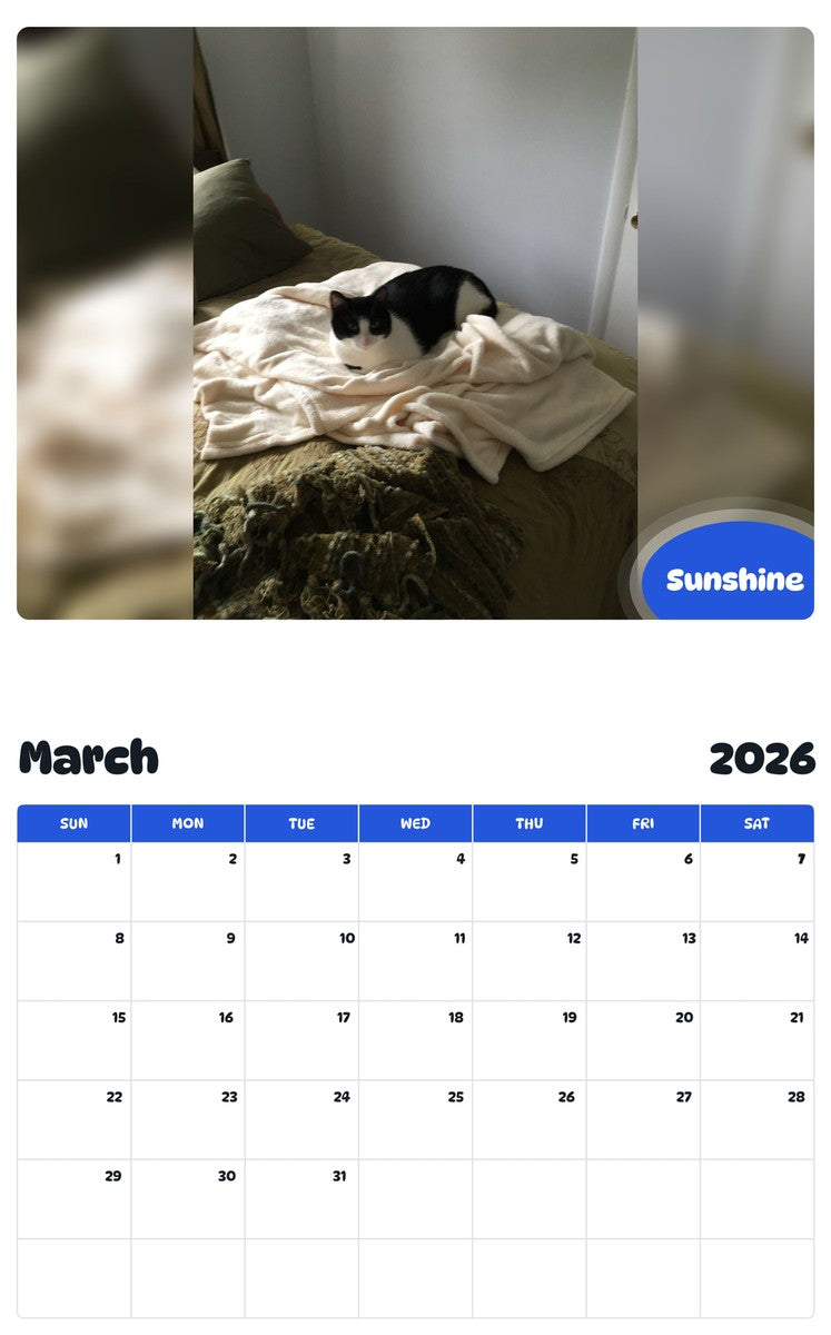 November 2025 - October 2026 Sunshine - Pawidols Pet Calendar