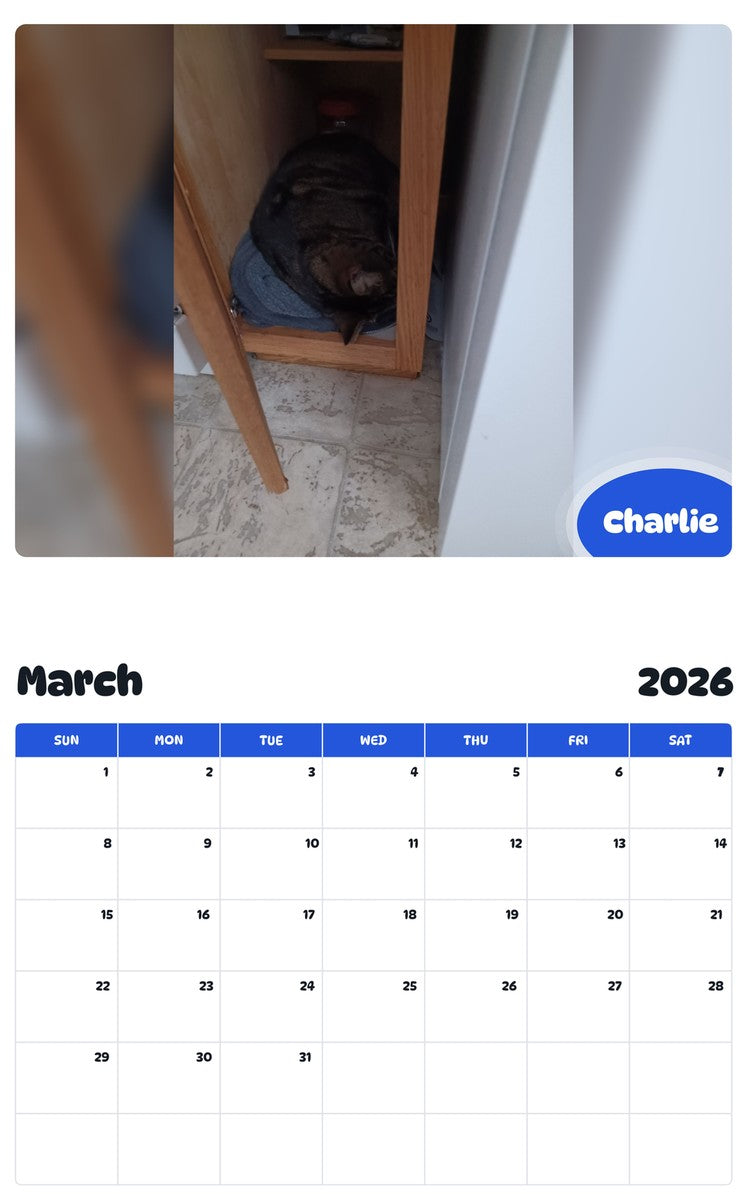 November 2025 - October 2026 Charlie - Pawidols Pet Calendar
