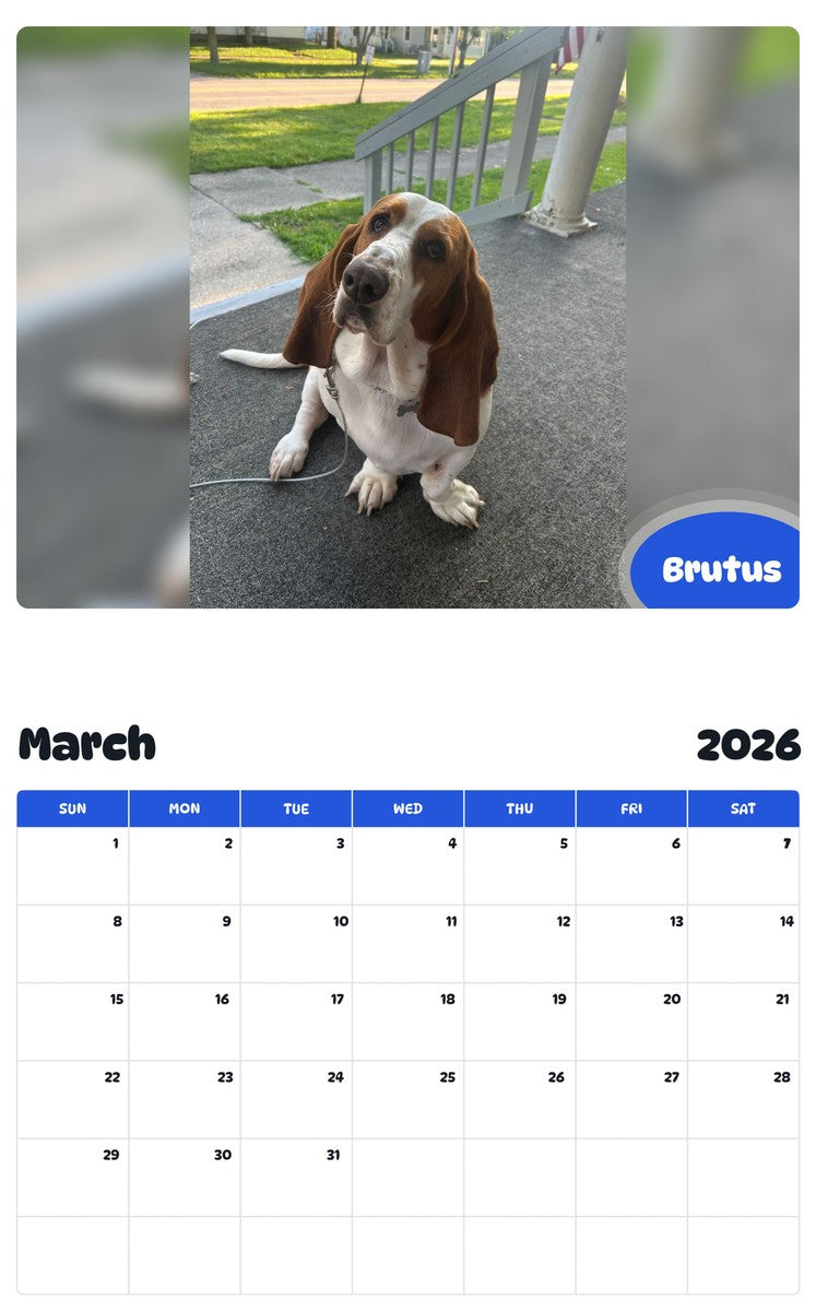 November 2025 - October 2026 Brutus - Pawidols Pet Calendar
