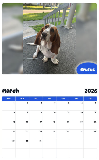 November 2025 - October 2026 Brutus - Pawidols Pet Calendar