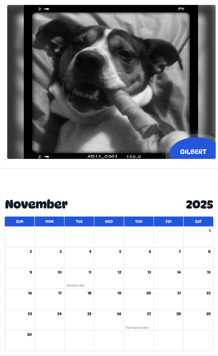 July 2025 - June 2026 Gilbert - Pawidols Pet Calendar