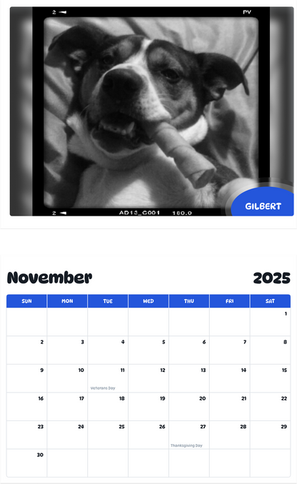 July 2025 - June 2026 Gilbert - Pawidols Pet Calendar