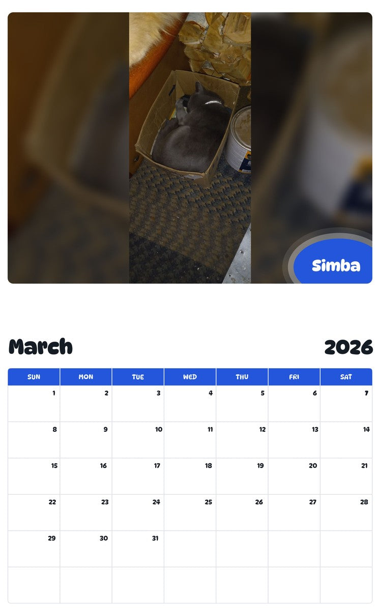 November 2025 - October 2026 Simba - Pawidols Pet Calendar