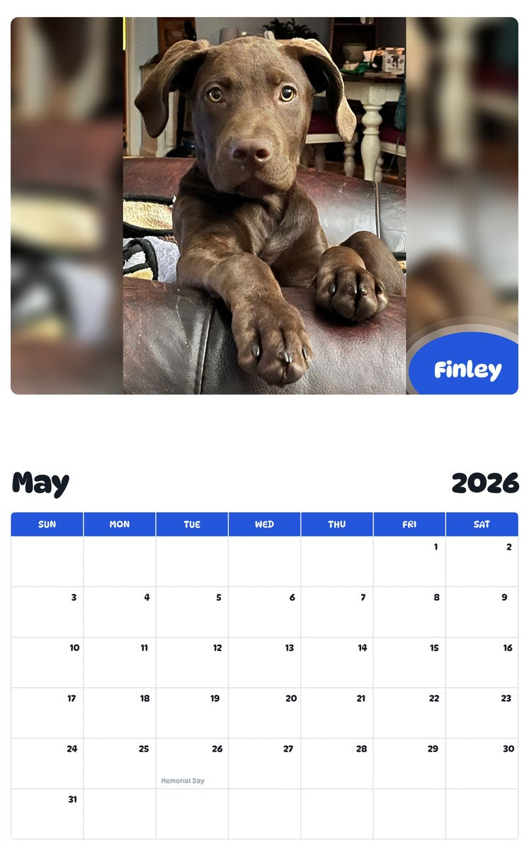 2026 - 2027 Finley - Pawidols Pet Calendar