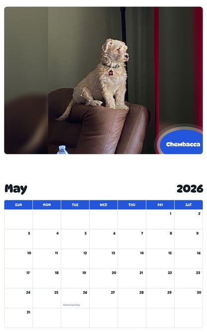 2026 - 2027 Chewbacca - Pawidols Pet Calendar