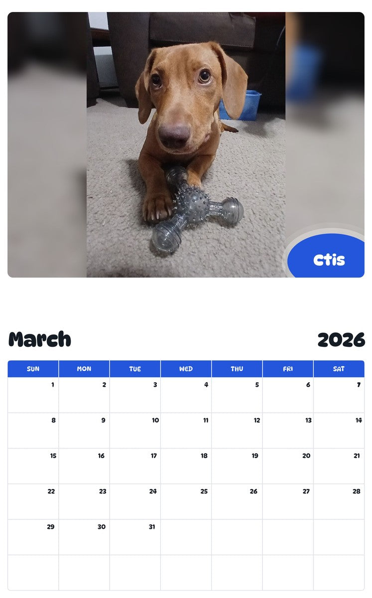 November 2025 - October 2026 Ctis - Pawidols Pet Calendar