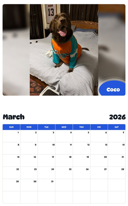 November 2025 - October 2026 Coco - Pawidols Pet Calendar