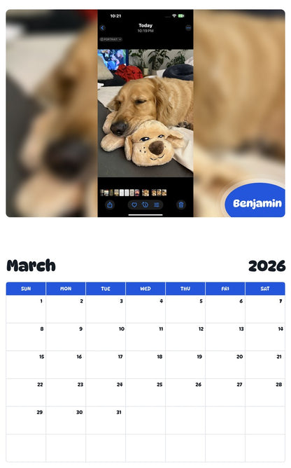 November 2025 - October 2026 Benjamin - Pawidols Pet Calendar