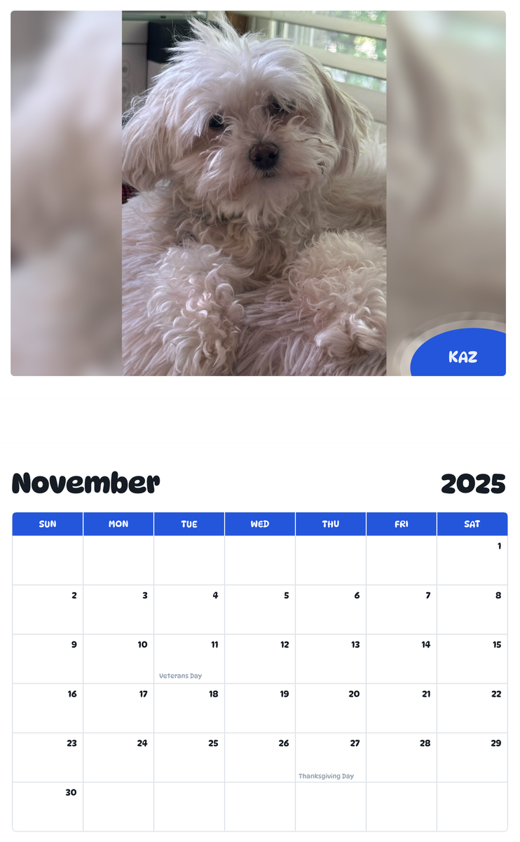 July 2025 - June 2026 Kaz - Pawidols Pet Calendar