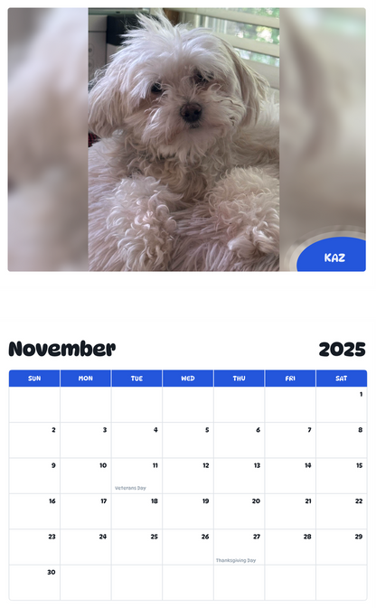 July 2025 - June 2026 Kaz - Pawidols Pet Calendar