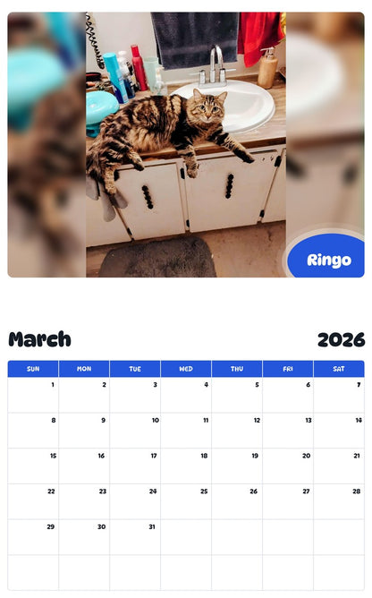 November 2025 - October 2026 Ringo - Pawidols Pet Calendar