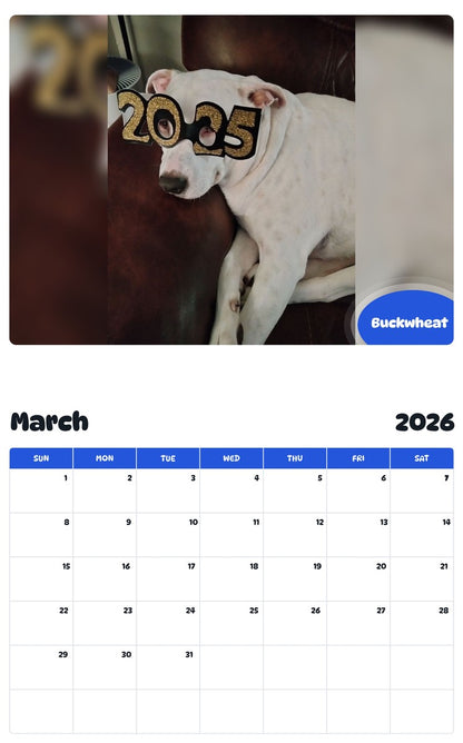 November 2025 - October 2026 Buckwheat - Pawidols Pet Calendar