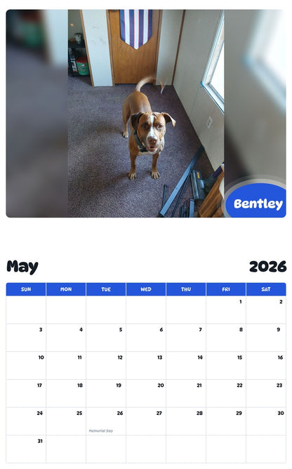 2026 - 2027 Bentley - Pawidols Pet Calendar